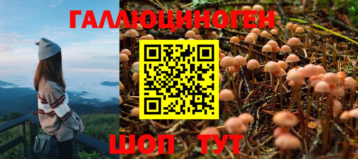 где купить наркоту  Галлюциногенные грибы MAGIC MUSHROOMS  Вход с VPN  Советский 